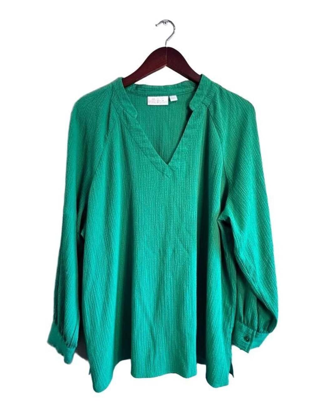 Belle by Kim Gravel Green Crinkle Texture V-Neck Long Sleeve Blouse